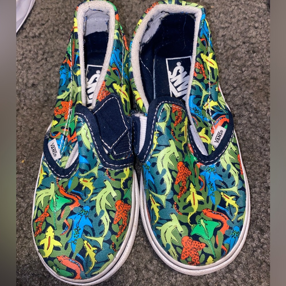 Shark Vans
